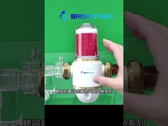 BriskSpring ゲイル・メッシュ・プレフィルター あなたの家への効率的な堆積物保護