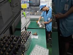 ブリスクスプリング