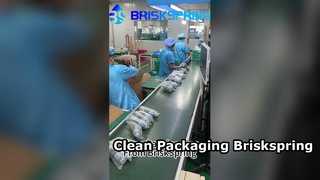 BRISKSPRING の非常に清潔で整理された梱包ライン