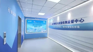 研究品質試験監督センター-BriskSpring