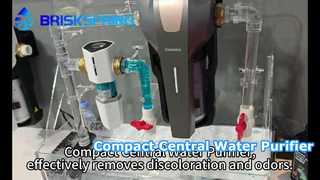 コンパクトなセントラル浄水器は、変色や臭いを効果的に除去します。