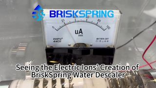 Electric Ions による BriskSpring Water Descaler 3 の作成を見る