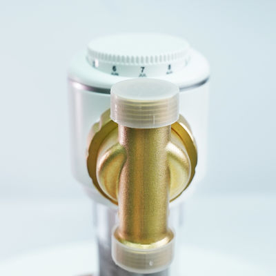 0.15Mpa自動水前にフィルター水軟化剤は前に錆の藻の赤いみみずのためのミクロンをろ過する