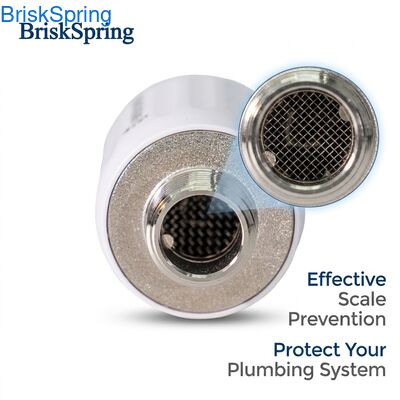 NSF Certified Compact Water Descaler with 17-23.5L/Min Flow Rate and 0.1-1MPa Operating Pressure for Whole House Use