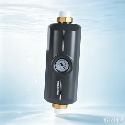 5T/H の流量率とNSF 認証を持つ,メンテナンスフリー全屋水脱熱器 - 塩のない水軟化器の代替品